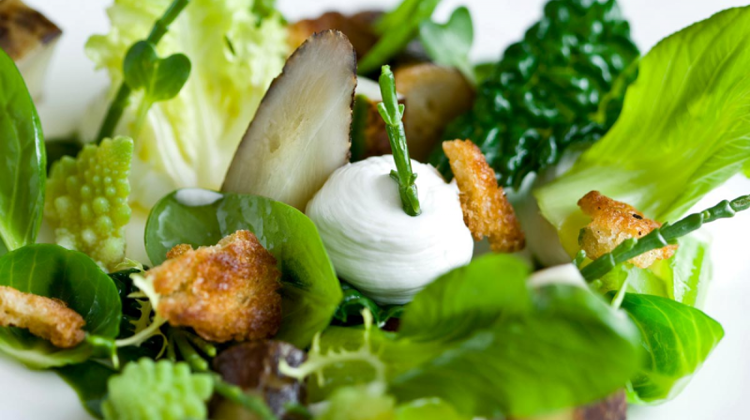 Xpat Recommendation: Lunch At Loulou Budapest