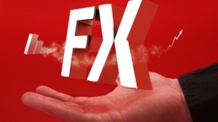 Hungarian Leasing Companies Hurt By FX Law