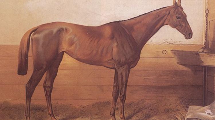 Film Shoot About Legendary Hungarian Race Horse Kincsem To Start In October