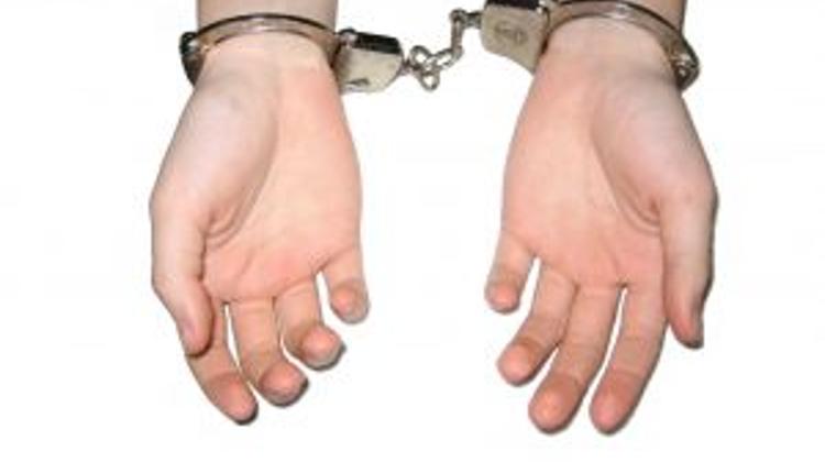 Hungarian Wanted For Murder Returned From Thailand