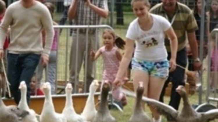 Goose Liver Festival, Budapest, 5 - 7 September
