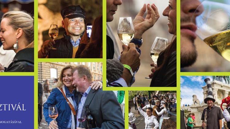 Now On - Budapest Wine Festival 2014