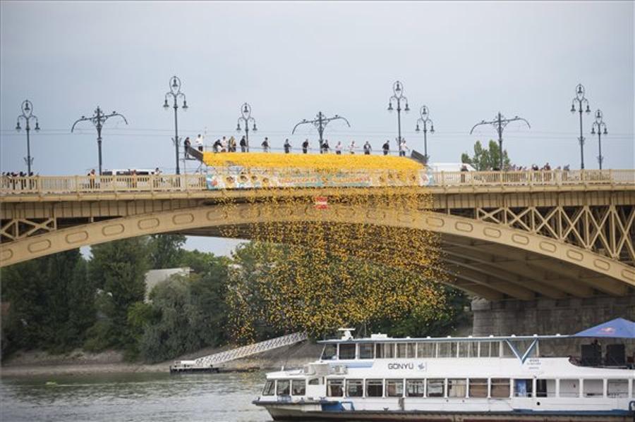 First Charity Duck Race Takes Place In Budapest