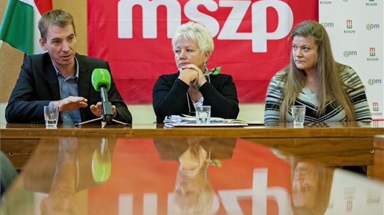 Hungarian MEP Jávor Appeals To Strasbourg Court