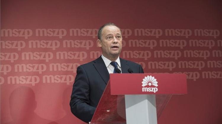 Hungarian MEP Szanyi Gets Warning From Socialists