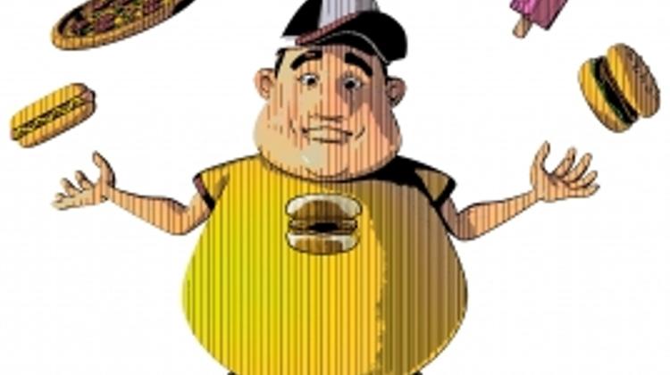 Fat Tax In Hungary Yields Over 178m EUR In Revenue Since 2011