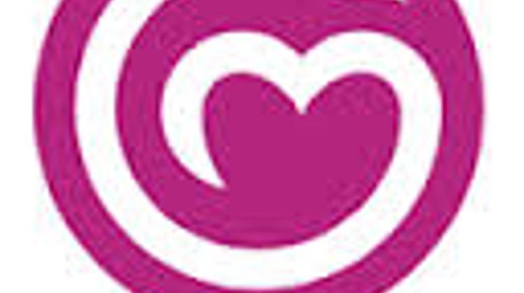 Hungarian Company Takes Top Prize In EU Competition