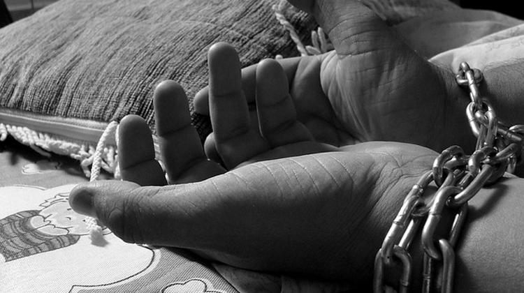 Amendment Hands Servers Of Real Life Sentences Right In Hungary To Clemency Process