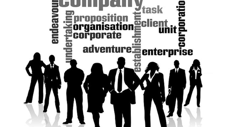 Hungary’s Central Bank Outlines Proposal For Asset Management Agency