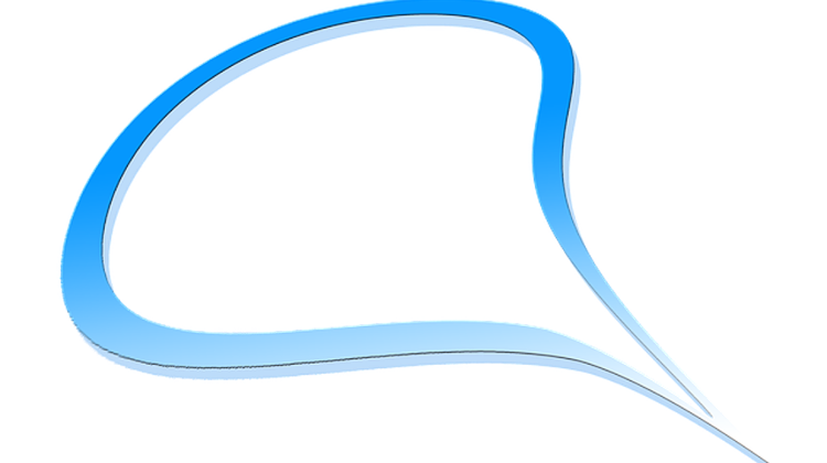 Raiffeisen, Erste Confirm Talks With Hungarian Govt