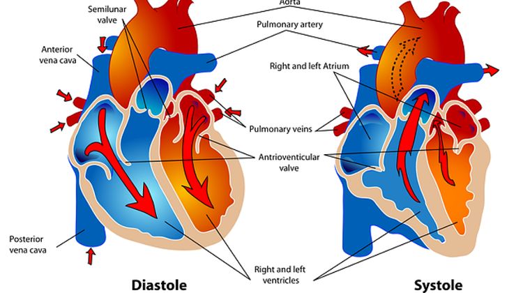 Govt Invests Eur 2.6m In Multifunctional Cardiovascular Operating Theatre