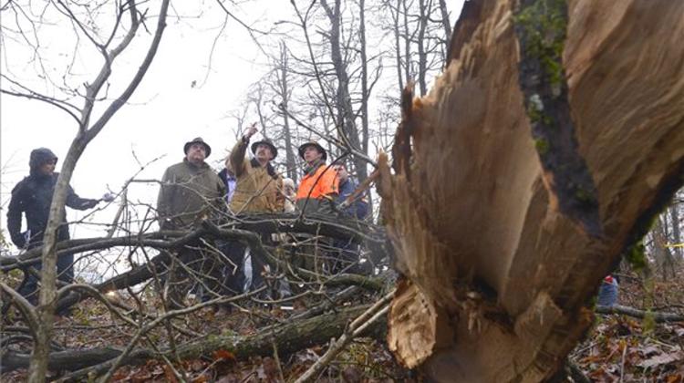 President Assesses Frozen Rain Damage