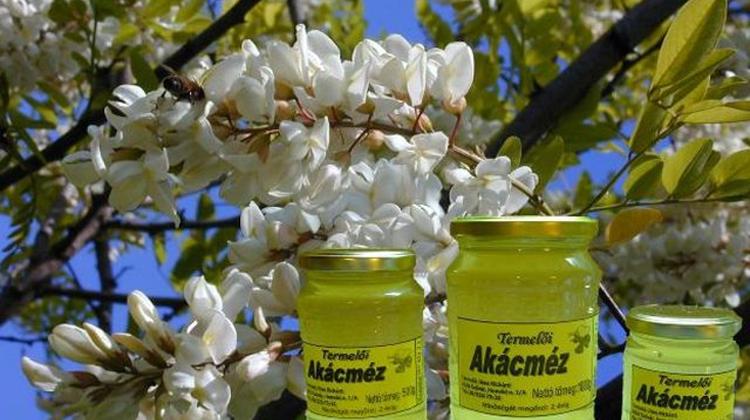 Hungaricum False Acacia Not Expected To Be Banned In EU