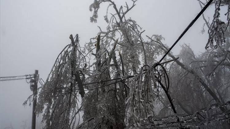 President Urges Hungarians To Pull Together To Restore Damaged Forests