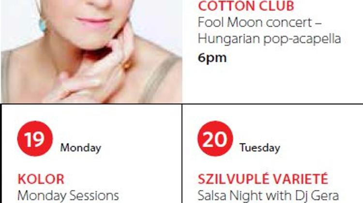 Budapest Nightlife Guide, January 2015