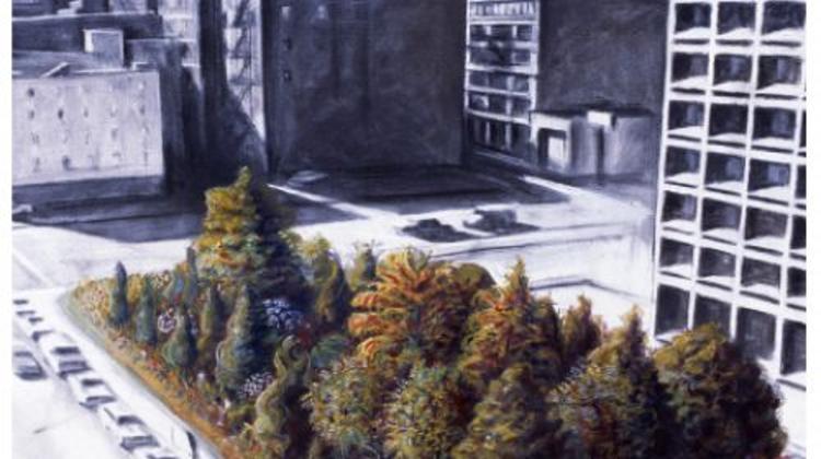 Now On: Time Landscape, Museum Of Fine Arts Budapest