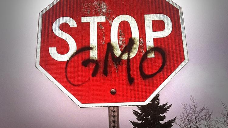 Hungarian Interests Upheld In GMO Case