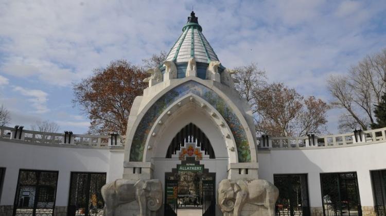 Budapest Zoo To Get HUF 25 Billion In Government Support For Large-Scale Expansion