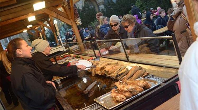 See What Happened @ Budapest Fish Festival