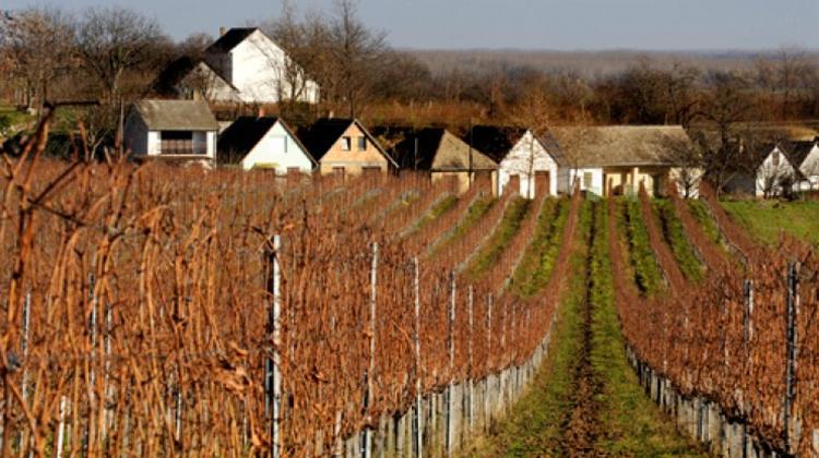 Unprecedented Success For Hungarian Wine At International Competition
