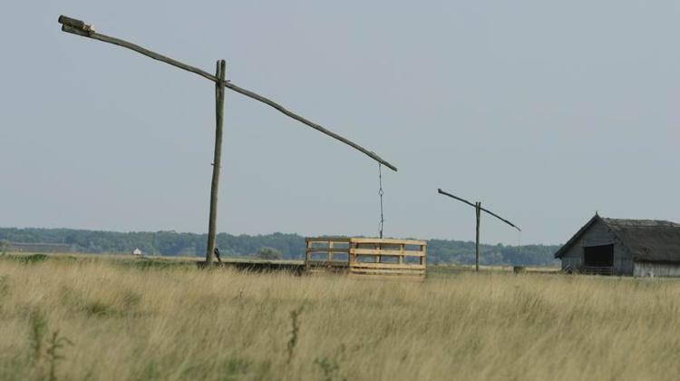 Greenpeace Reveals Heavy Metal Pollution Near Hortobagy National Park