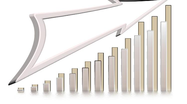 Whitening Economy Increases Revenues To Central Budget