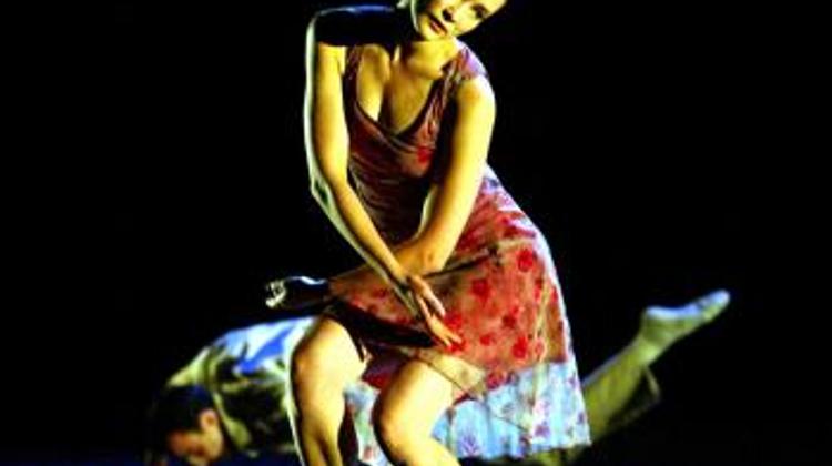 Budapest Dance Festival, Now On Until 3 May
