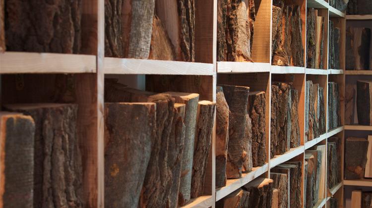 Now On: Illuminations, Műcsarnok Budapest