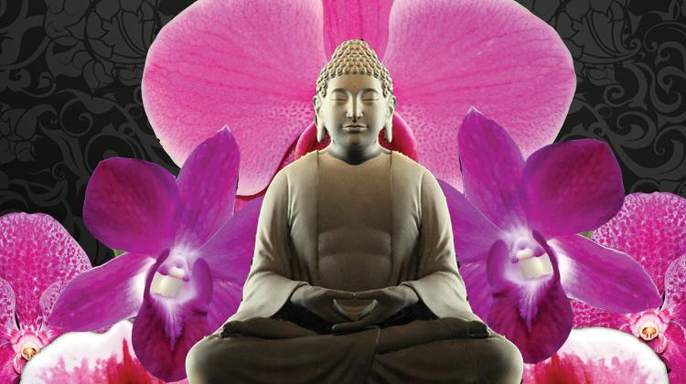 Orchids Of Thailand, Vajdahunyad Castle, 17 - 19 April