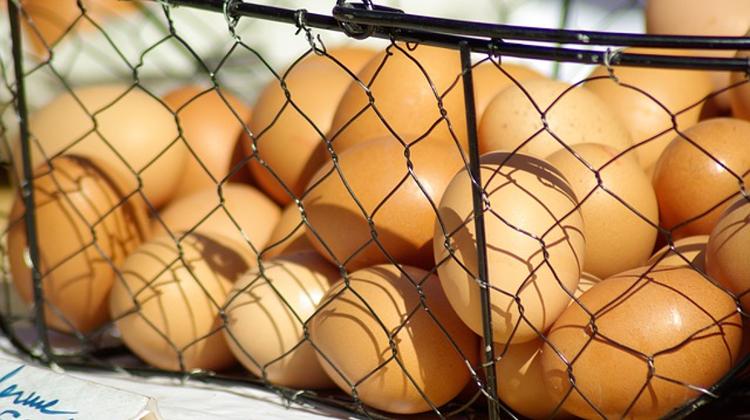 Easter Holiday Boosts Retail Sales In Hungary