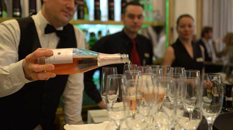 See What Happened @ Xpat Wine Club With Sauska