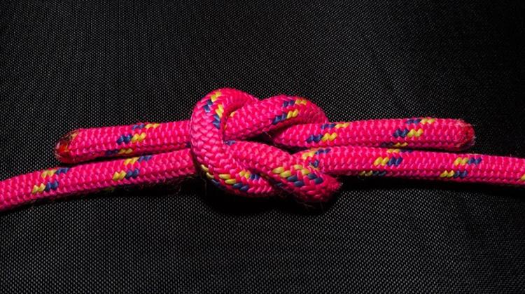 Hungarian Gov’t Throws Lifeline To Brokerage Victims