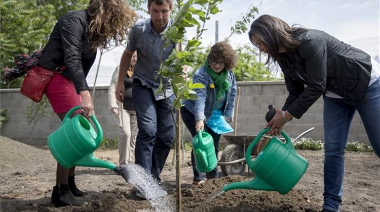 Budapest’s Largest Community Garden Opens
