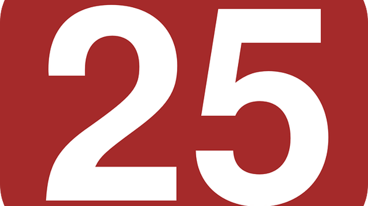 Xpat Opinion: The Balance Sheet Of Hungary’s 25 Years Of Democracy