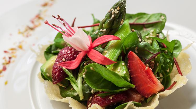 Immerse Yourself In Spring At Le Méridien Budapest