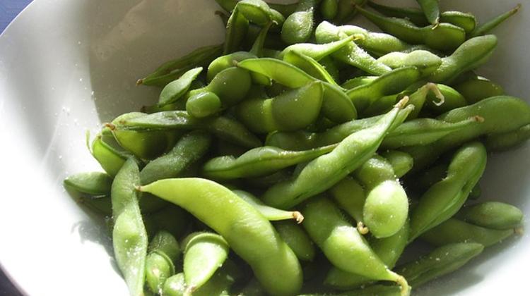 Hungary To Promote GMO-Free Soya Production With Subsidy