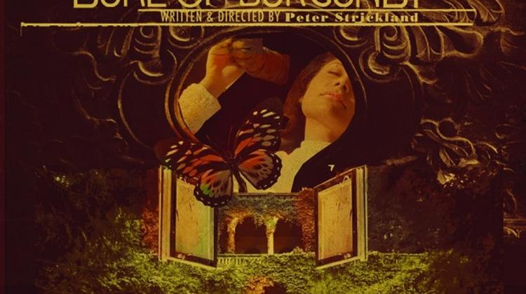 The Duke Of Burgundy, Brody Underground Cinema Budapest, 17 June