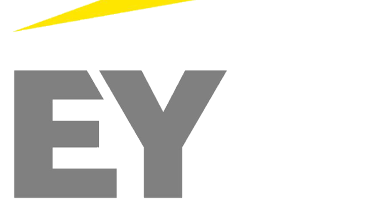 EY Hungary Elects New Management