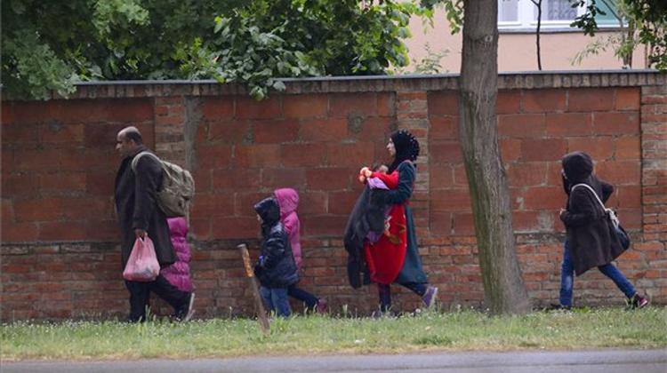 Serbian, Hungarian Police Agree On Joint Steps Against Illegal Migrants