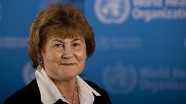 Hungarian WHO Official Warns Of Epidemic Due To Illegal Migrants