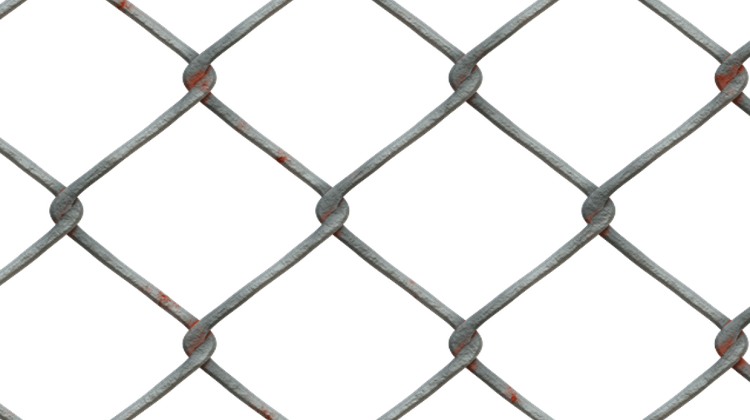 Hungarian Opposition: Fence No Solution To Migrant Problem