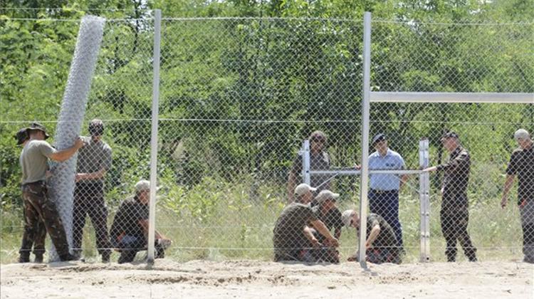 Xpat Opinion: Border Fence To Be Completed By November