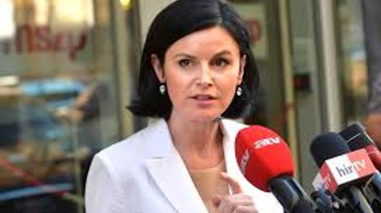 Hungary’s Left Promotes Immigrant Interests