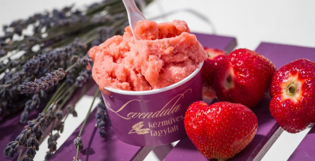 Budapest Ice-Cream Shops For Those With Special Diets