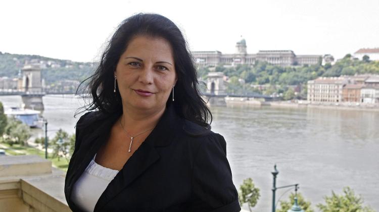 Opposition Parties’ Comment On Hungary’s Tax Authority’s Resignation