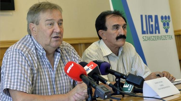 Hungarian LIGA Union Head Spent EU Funds On Luxury Hotels