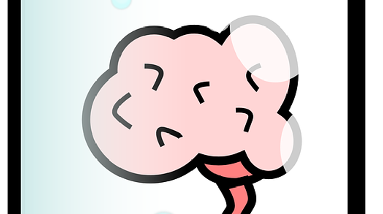 Hungarian, Turkish Brain Scientists Join Forces To Study Alzheimer’s