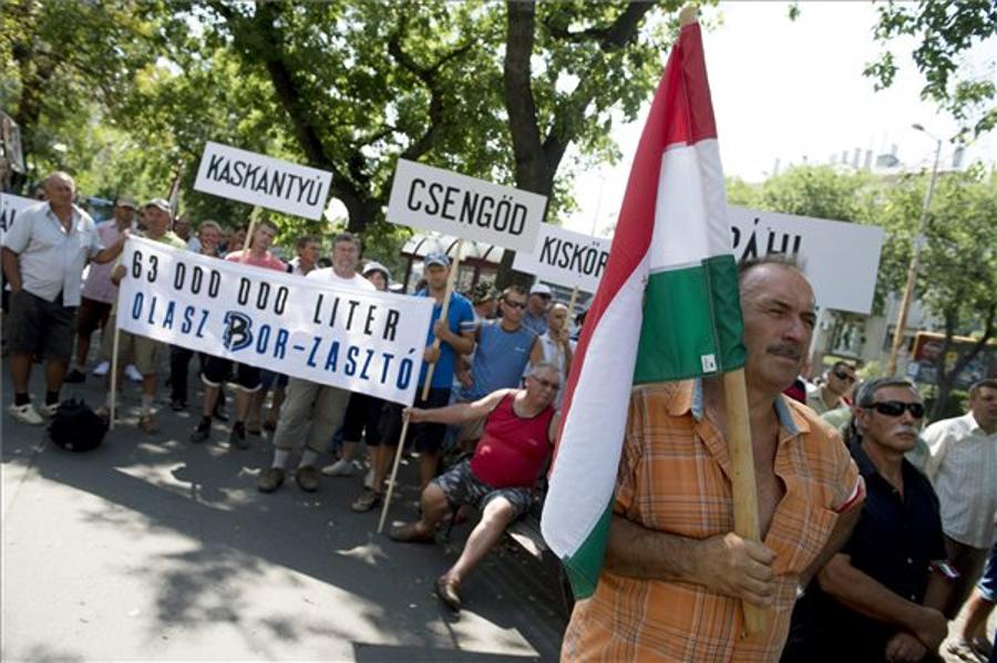 Hungarian Grape Growers Protest Against Italian Wine Imports