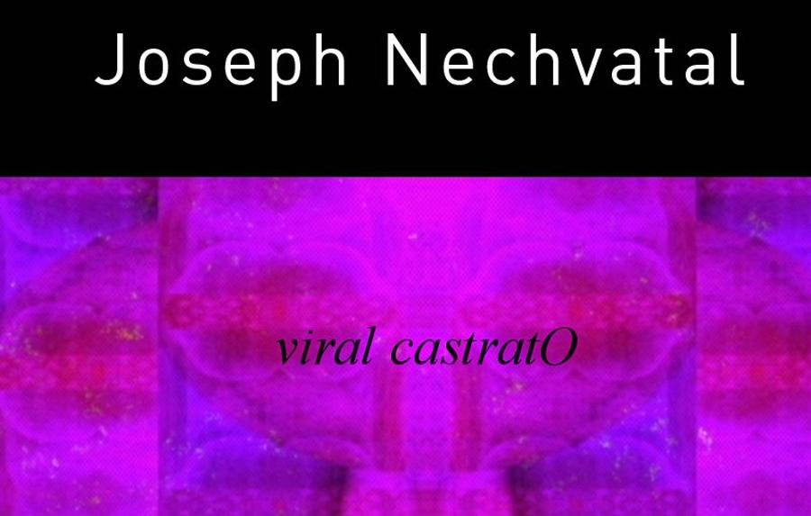 Video Installation Of Joseph Nechvatal (USA), Budapest Art Factory, 8 September