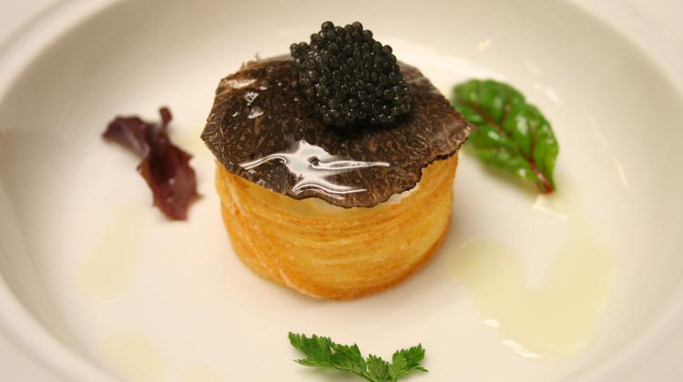 World Class Culinary Treasure: Truffle In Corso Restaurant